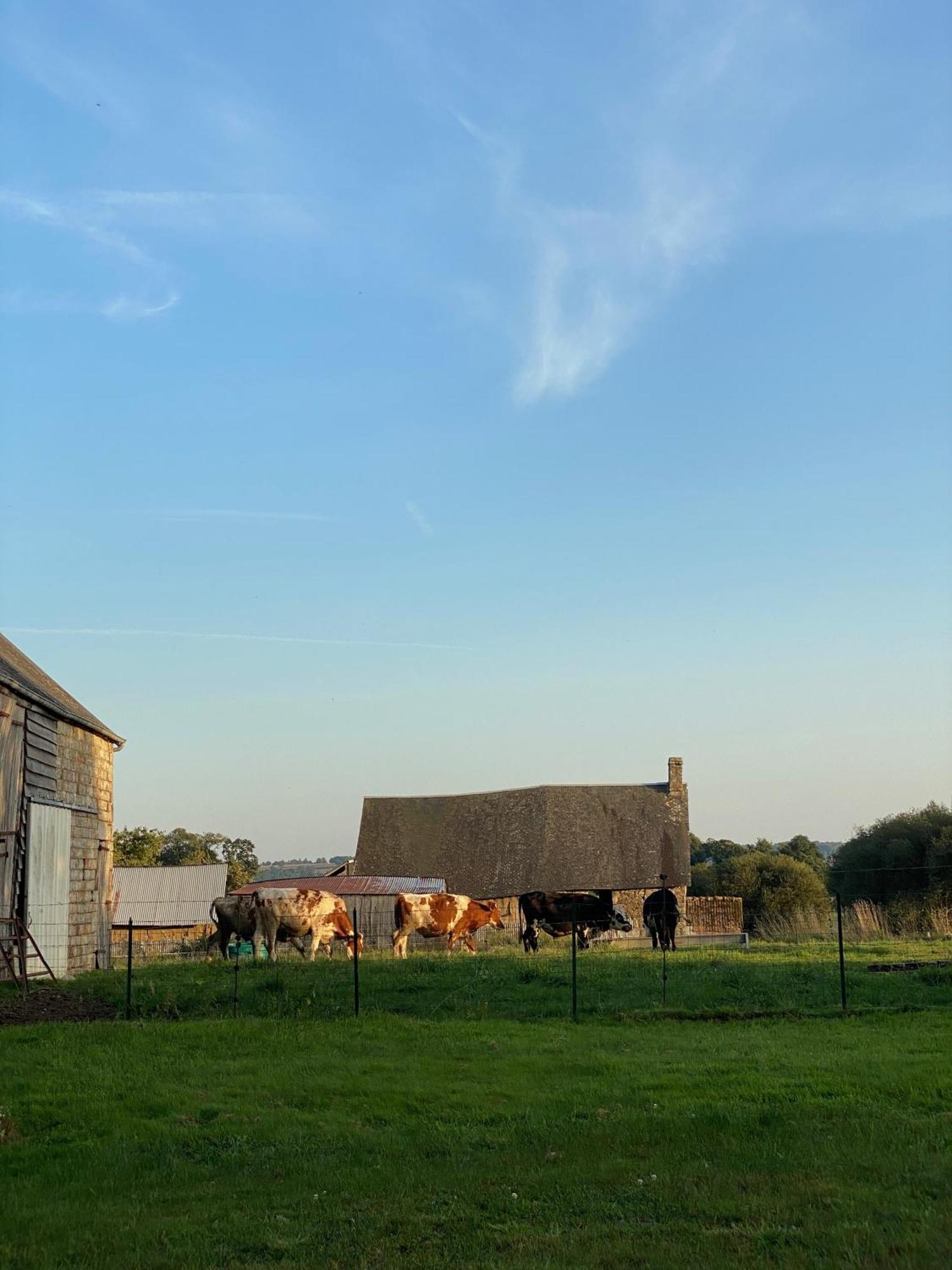 Entire Farm House Stay, La Gerouardiere Barenton Luaran gambar